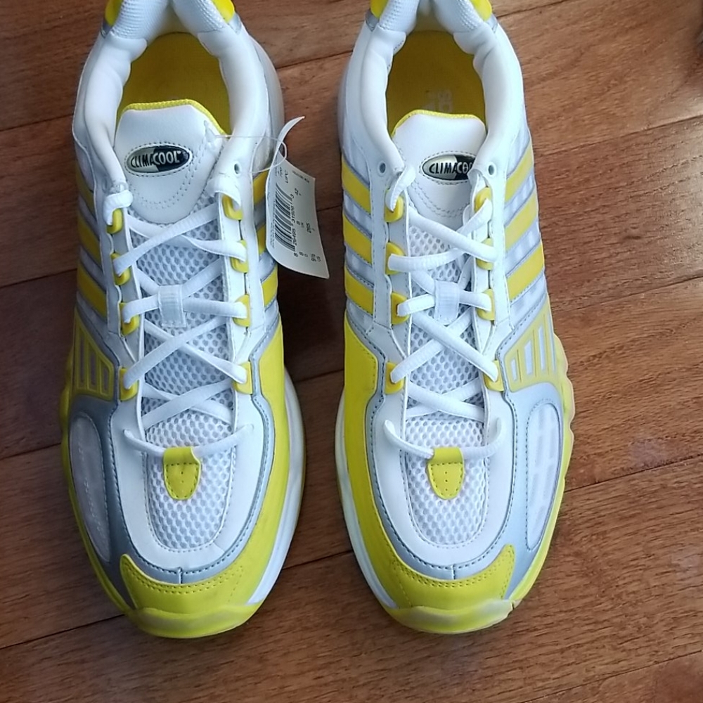 Adidas Indoor Sport shoes